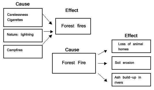 Cause and Effect Planner